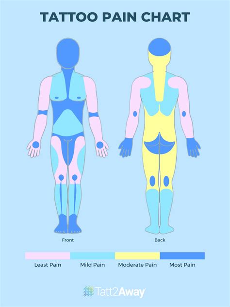 tattoo on thigh pain|Tattoo Pain Chart for Females and Males: Pain Scale。